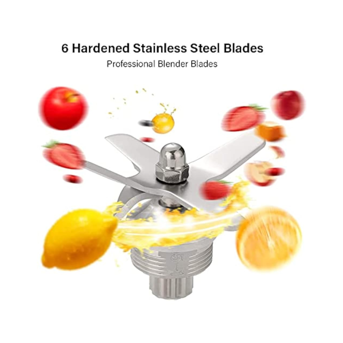 2.0L Commercial Blender MAXX - COBL2K-GE 220V For Marine - Image 5